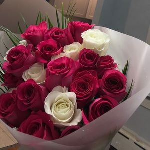 Meet your Posher, Amirah